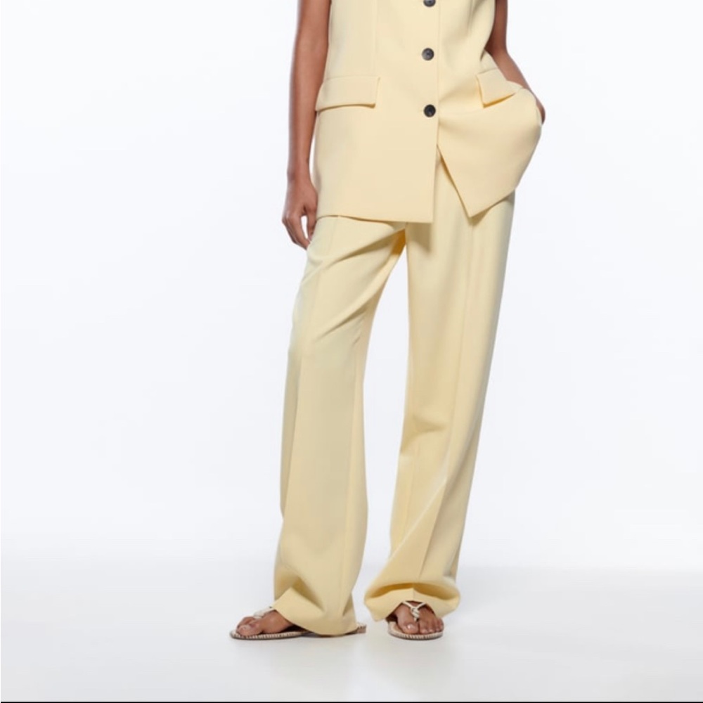 Brand New Zara Pants